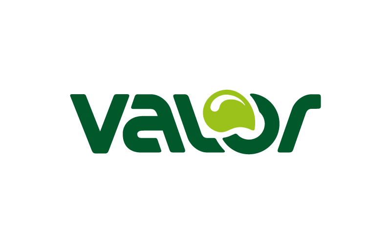 Logo Valor